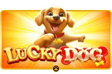 demo casino