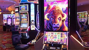 demo casino